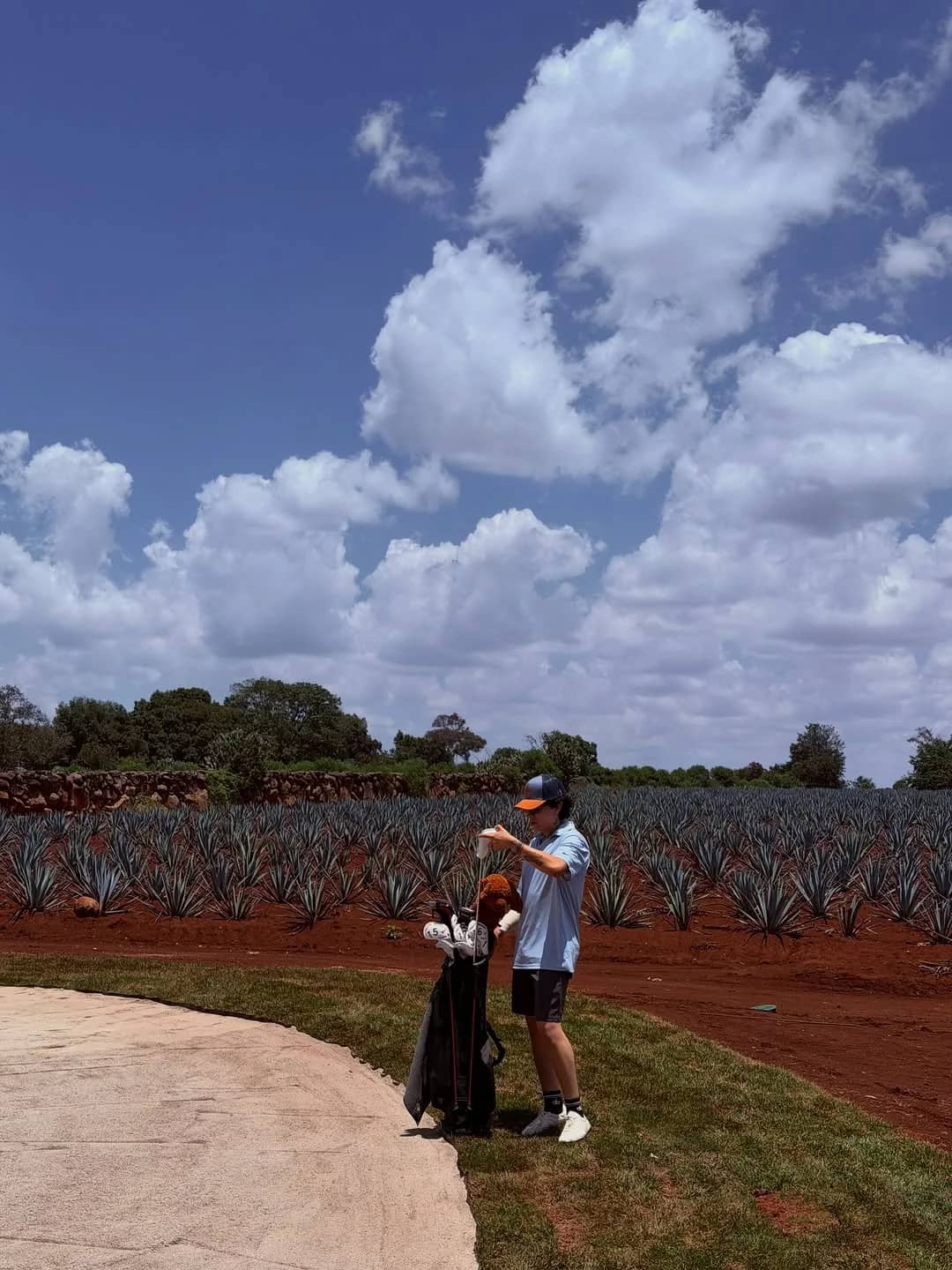 Alguien prepara sus palos junto a un campo de agaves azules y tierra roja, bajo un cielo de nubes