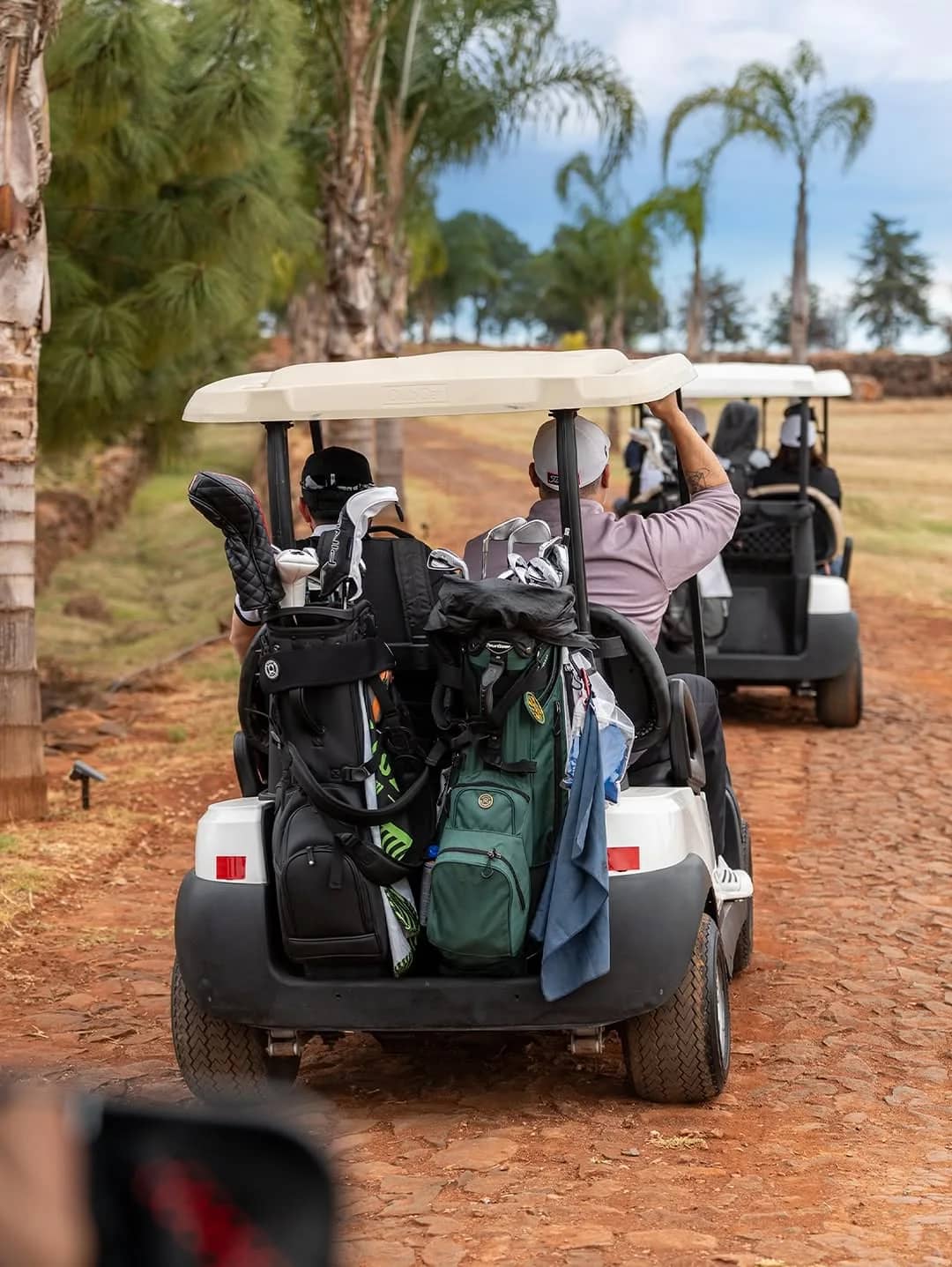 Carritos de golf en Nueve Almas Golf