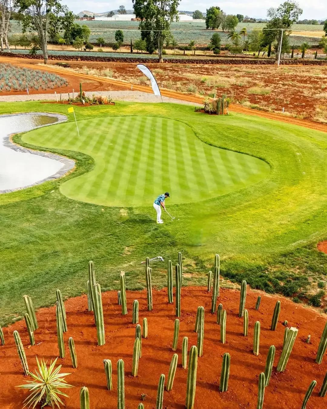 Desde el aire: un golfista se aproxima al green de Nueve Almas Golf, entre cactus, tierra roja y agaves